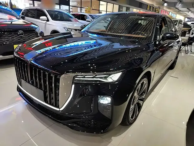 Hongqi H9 2024 2.0T Qi Enjoy Private Fashion Edition
