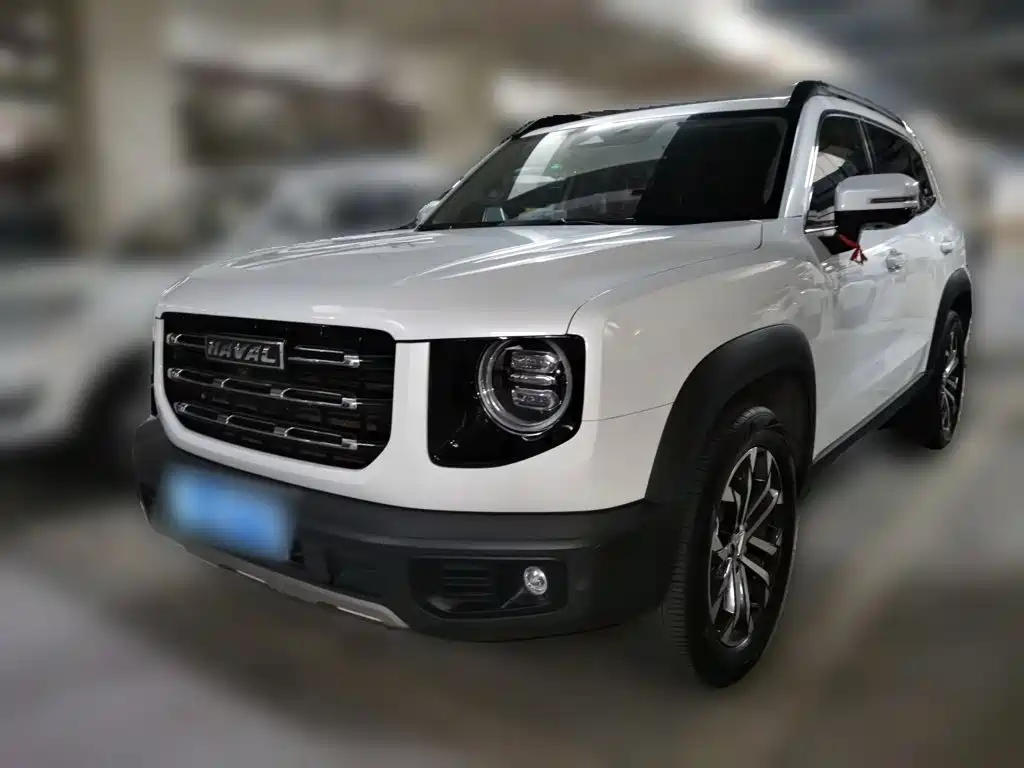 Haval Big Dog 2021 1.5T DCT 2WD Border Collie Edition