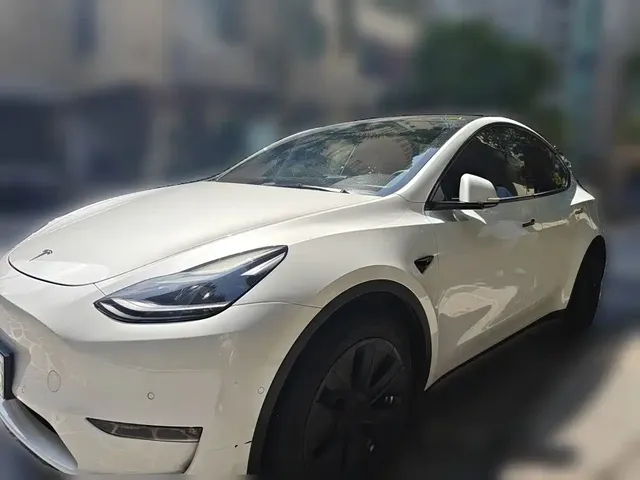 Tesla Model Y 2021 Standard Range Rear-Wheel Drive