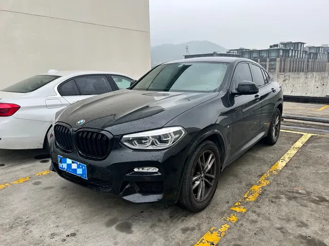 BMW X4 2019 xDrive25i M Sport Package