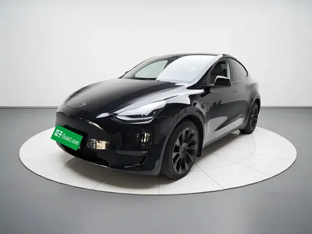 Tesla Model Y 2021 Standard Range Rear-Wheel Drive