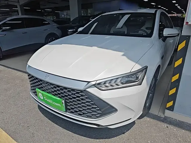 BYD Qin PLUS 2024 Glory Edition DM-i 55KM Leading