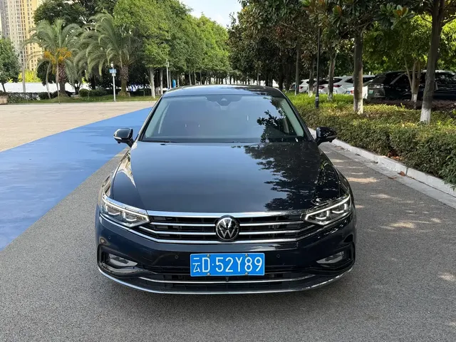 Volkswagen Magotan 2020 380TSI DSG Premium