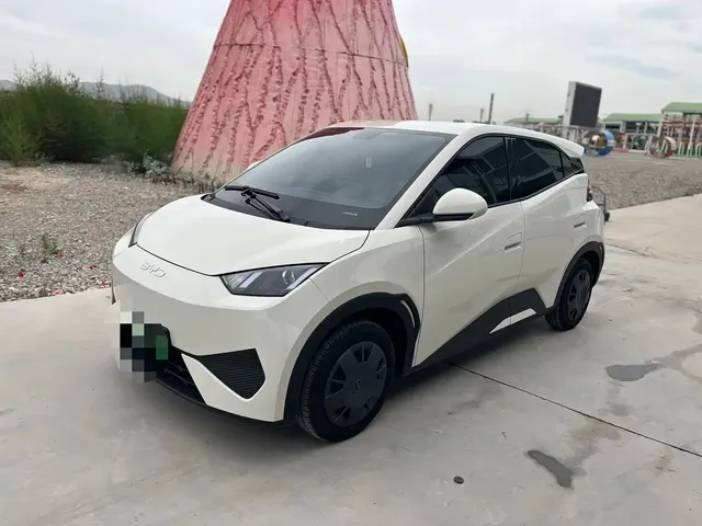 BYD Seagull 2025 305km Freedom