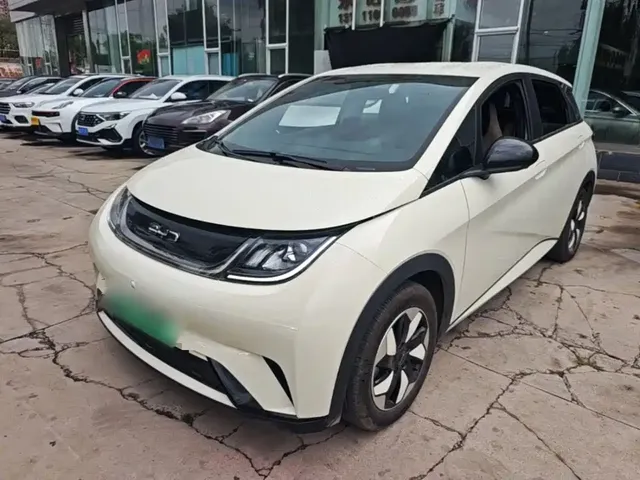 BYD Dolphin 2025 420km Freedom Edition