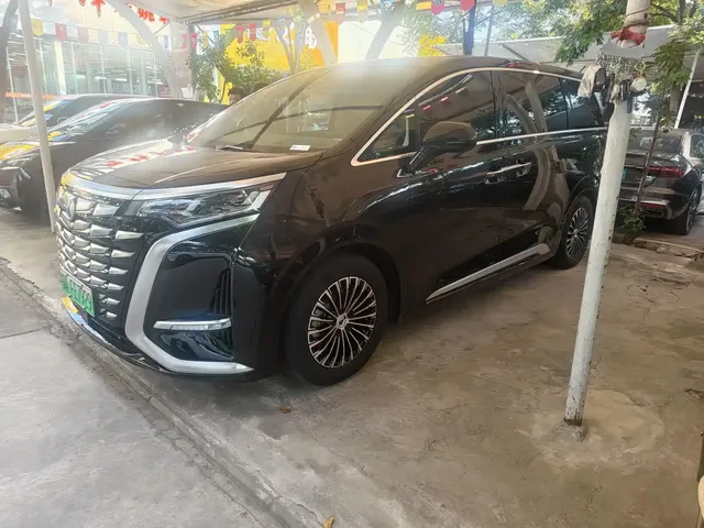 Denza D9 2024 DM-i 980 AWD Premium