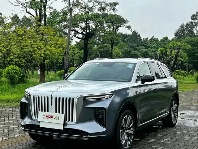 Hongqi E-HS9 2021 510km Flagship Comfort 6-seater