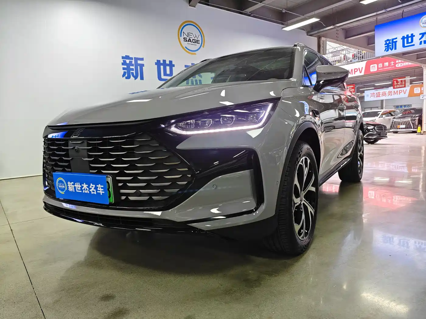 BYD Tang New Energy 2025 Smart Driving Edition DM-i 115KM Flagship