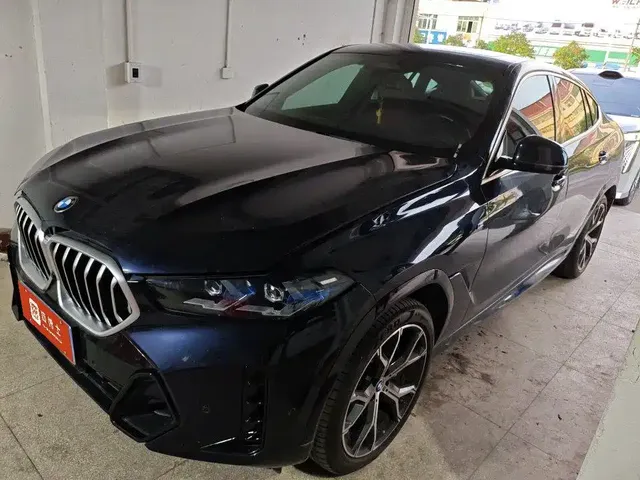 BMW X6 2023 xDrive40i Premium M Sport Package