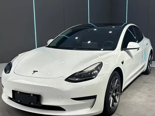 Tesla Model 3 2021 Facelift Standard Range RWD Upgrade 3D1