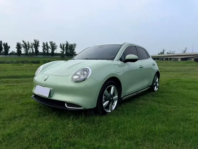 Ora Good Cat 2023 401km Standard Range Luxury LFP