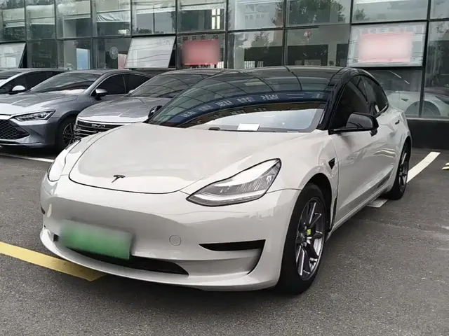 Tesla Model 3 2020 Standard Range Rear-Wheel Drive Upgrade