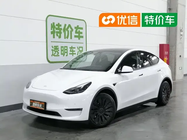 Tesla Model Y 2021 Standard Range Rear-Wheel Drive
