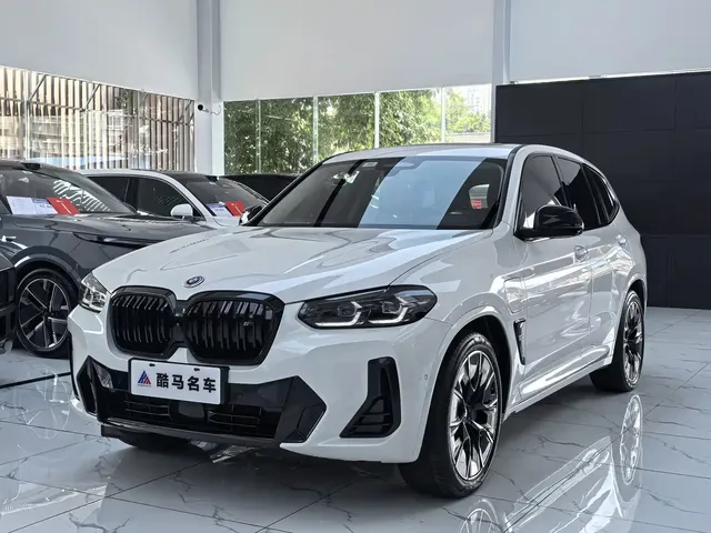 BMW iX3 2023 Leading Type