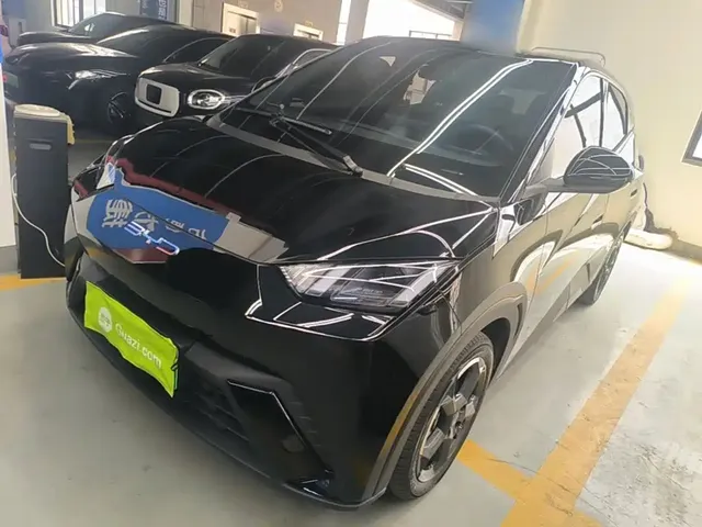 BYD Seagull 2023 Freedom Edition