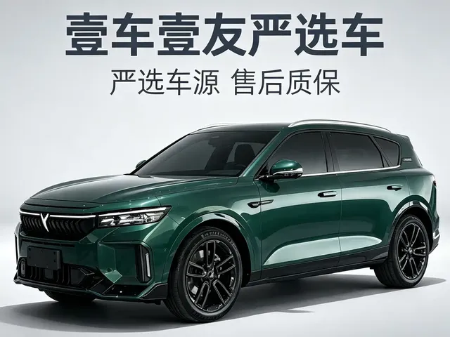 Voyah Auto VOYAH FREE 2024 Ultra Long Range Intelligent Driving Edition