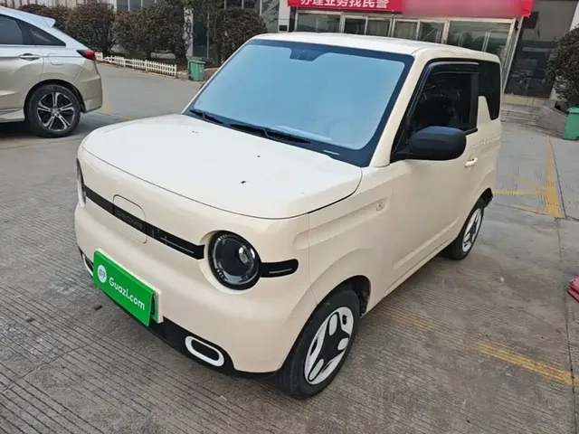 Geely Galaxy Panda 2025 Panda mini 210km Vitality Bear