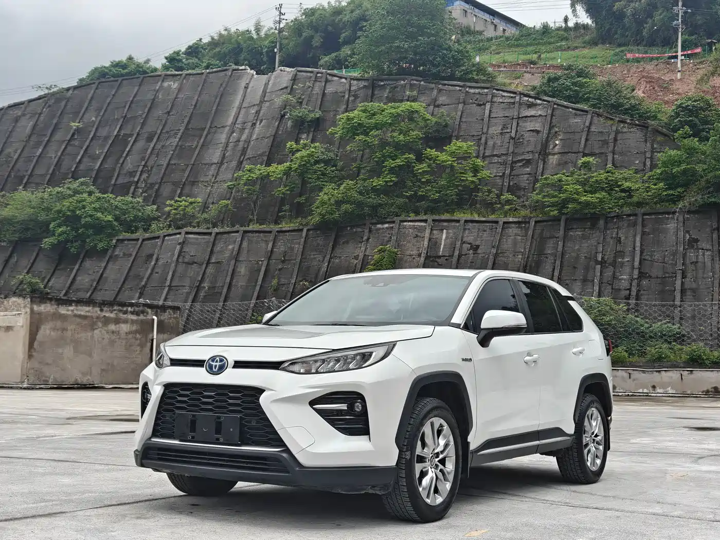 Toyota Wildlander 2020 Dual Engine 2.5L E-CVT FWD Luxury