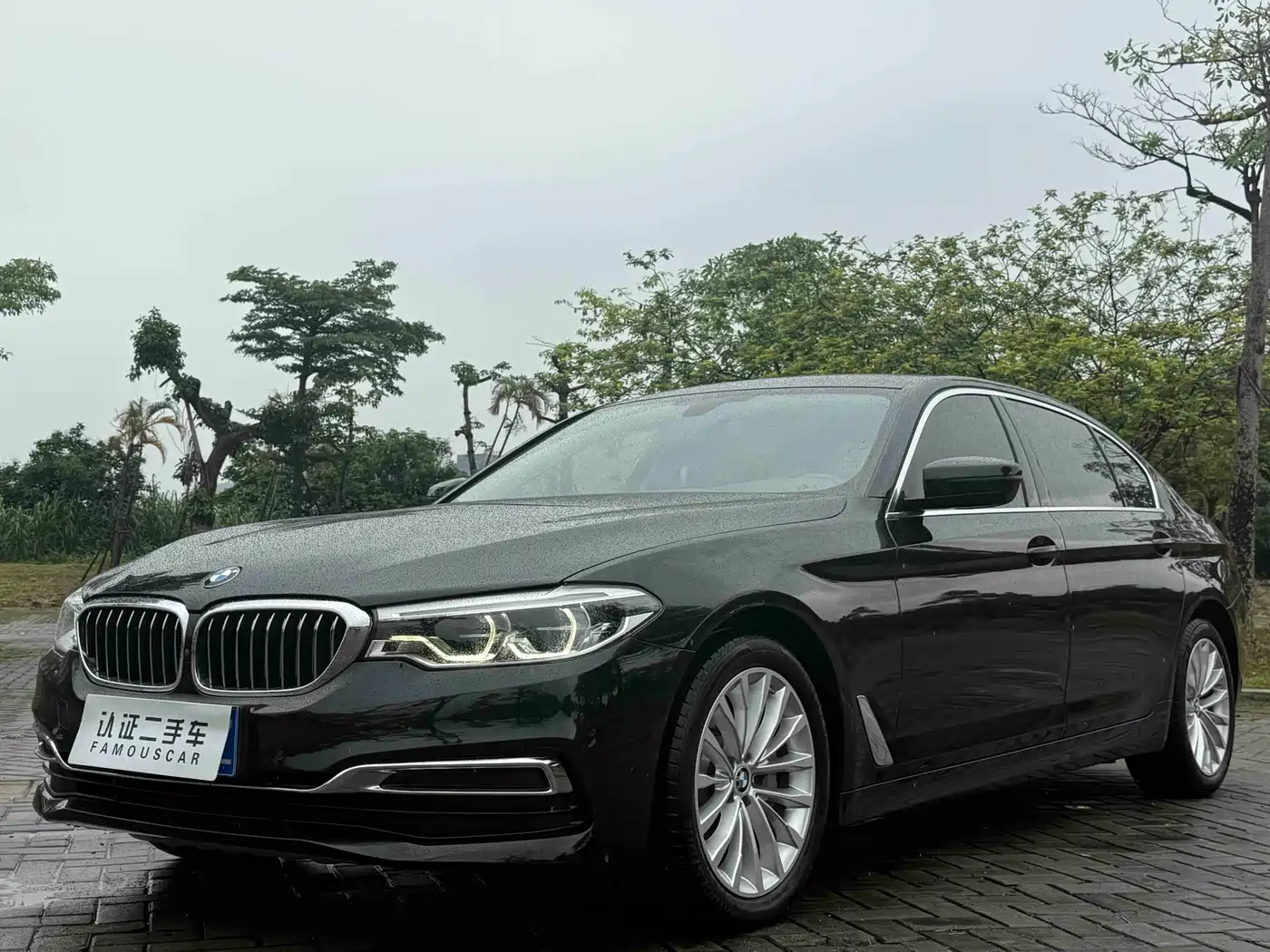 BMW 5 Series 2020 530Li Premium Luxury Package