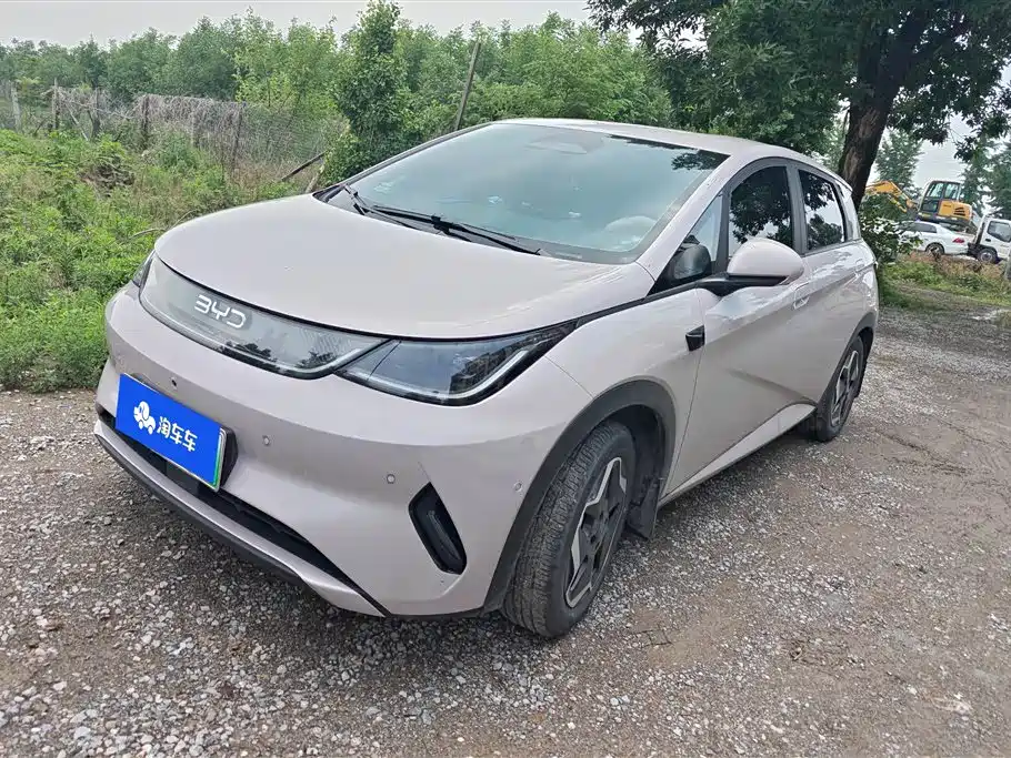 BYD Dolphin 2025 Smart Drive Edition 420km Freedom Version