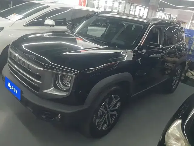 Haval Big Dog 2024 1.5T DCT Border Collie Edition