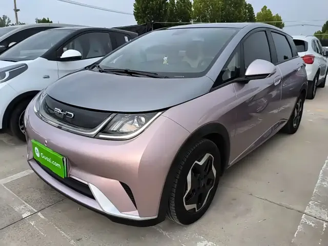 BYD Dolphin 2021 Model 405km Fashion Edition