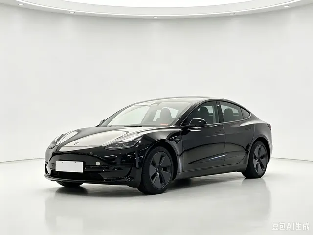 Tesla Model 3 2022 Model Rear-Wheel Drive Version
