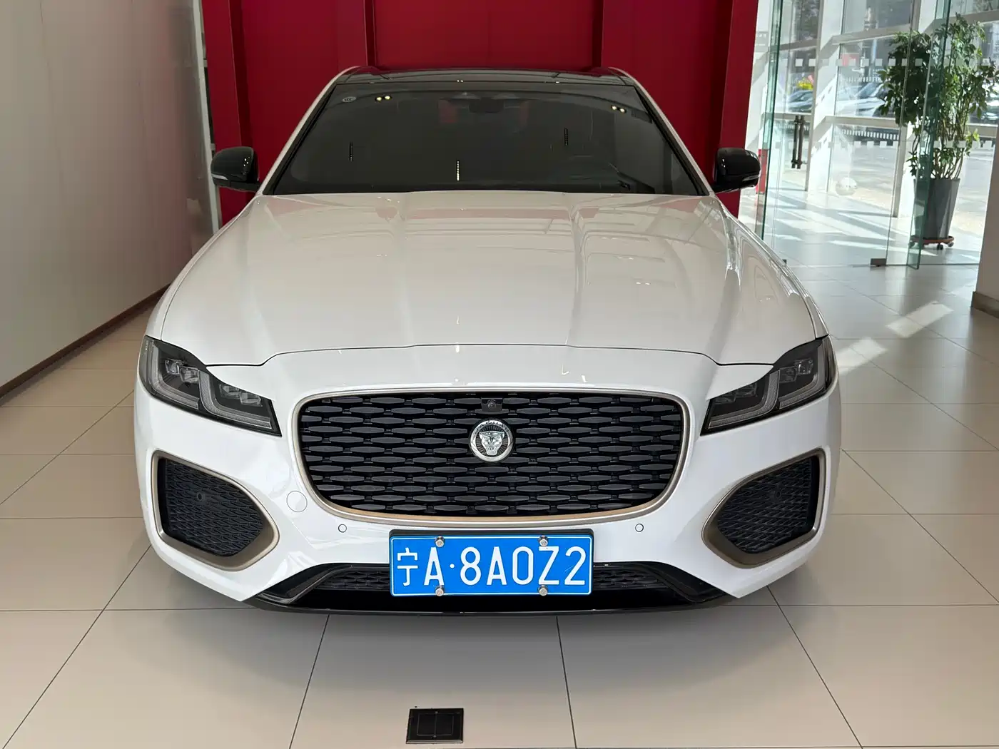 Jaguar XFL 2024 2.0T P300 AWD Flagship Sport Gilded Edition