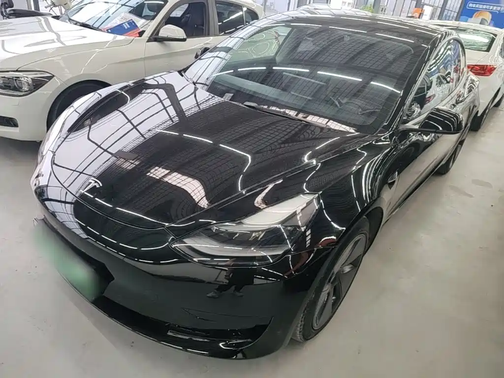 Tesla Model 3 2021 Standard Range Rear-Wheel Drive Upgrade 3D6