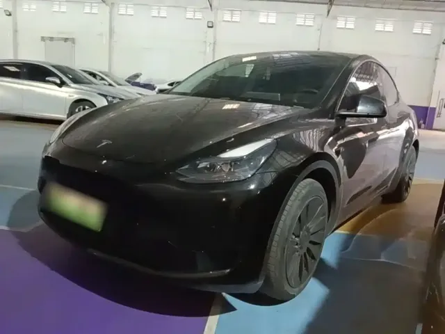 Tesla Model Y 2022 Rear-Wheel Drive Version