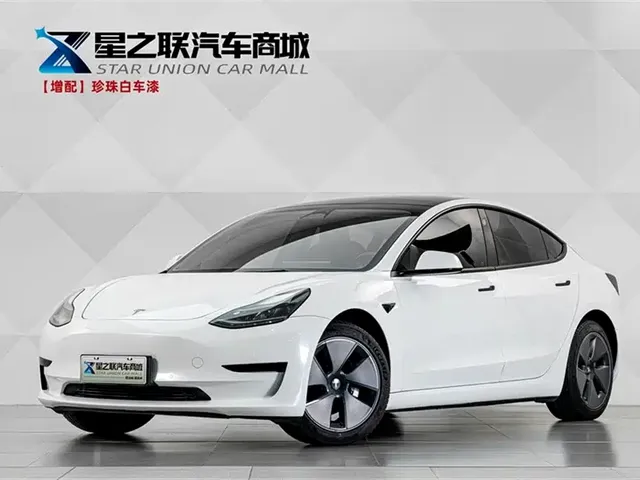 Tesla Model 3 2022 Model Rear-Wheel Drive Version