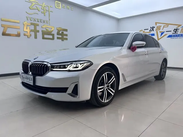 BMW 5 Series 2021 530Li Leading Luxury Package
