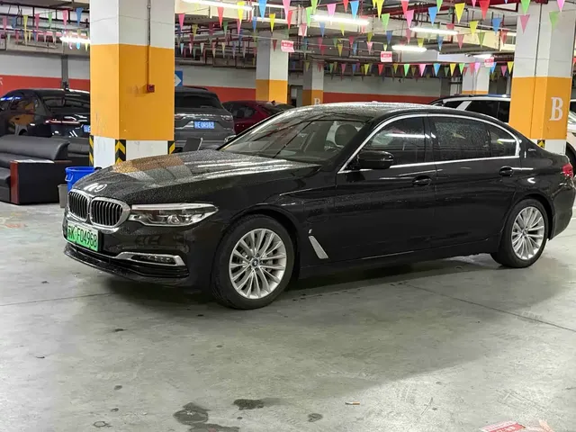 BMW 5 Series New Energy 2019 530Le Luxury Package