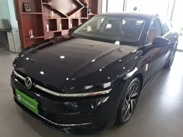 Volkswagen Magotan 2024 380TSI DSG Ultimate Edition