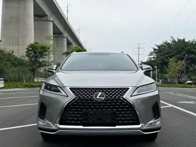 Lexus RX 2020 Facelift 300 2WD Elite Edition