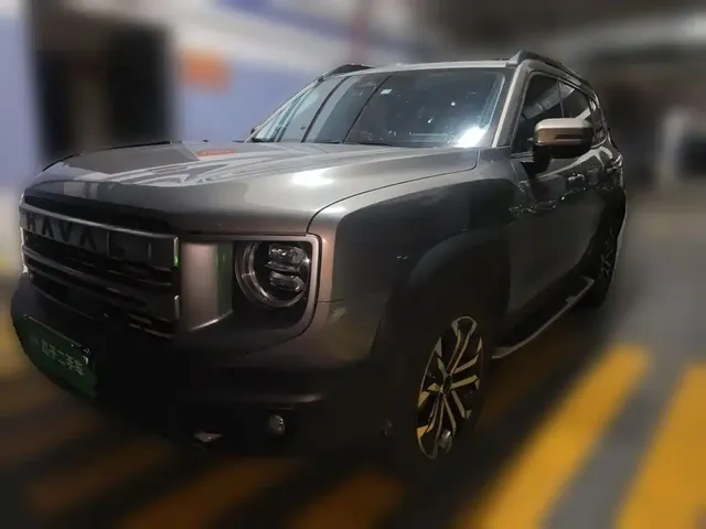 Haval Big Dog 2024 1.5T DCT Border Collie Edition