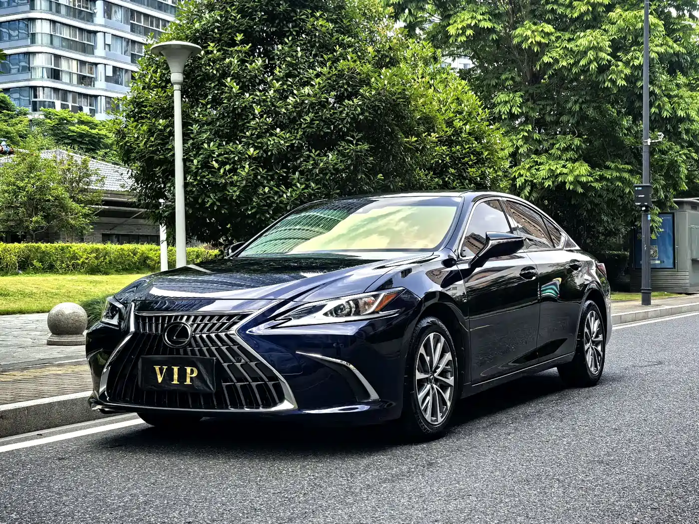 Lexus ES 2023 200 Excellence Edition