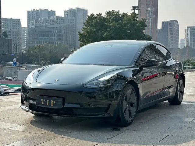 Tesla Model 3 2022 Model Rear-Wheel Drive Version