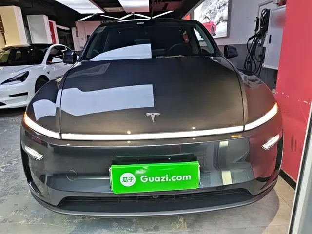 Tesla Model Y 2025 Long Range All-Wheel Drive