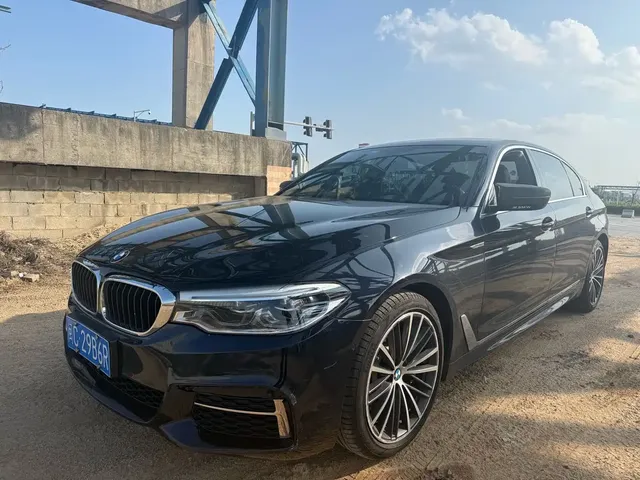 BMW 5 Series 2020 530Li Leading M Sport Package