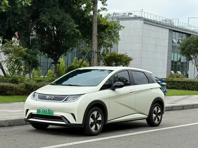 BYD Dolphin 2025 420km Freedom Edition