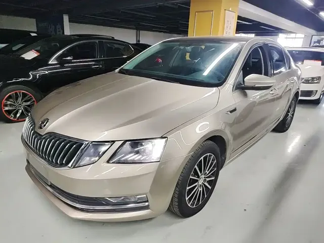 Škoda Octavia 2019 TSI230 DSG Zhixing Luxury Edition China VI