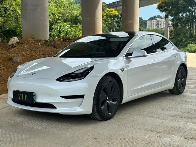Tesla Model 3 2020 Standard Range Rear-Wheel Drive Upgrade