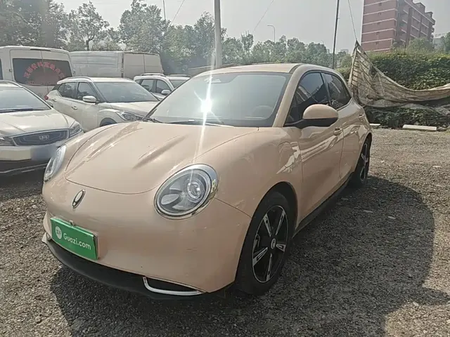 Ora Good Cat 2023 401km Standard Range Luxury LFP