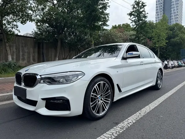 BMW 5 Series 2019 530Li Premium M Sport Package