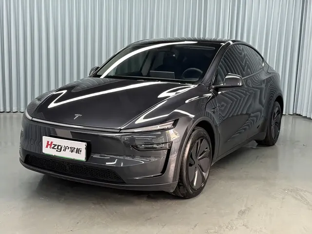 Tesla Model Y 2025 Rear-Wheel Drive
