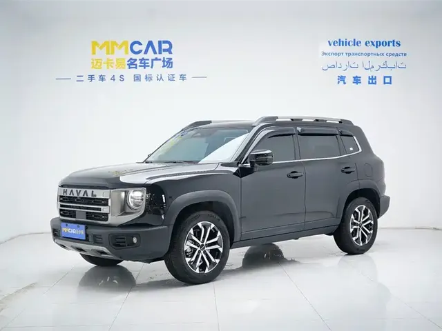 Haval Big Dog 2024 1.5T DCT Border Collie Edition