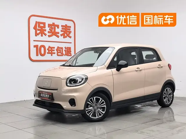 Leapmotor T03 2021 400 Micro Sugar Edition