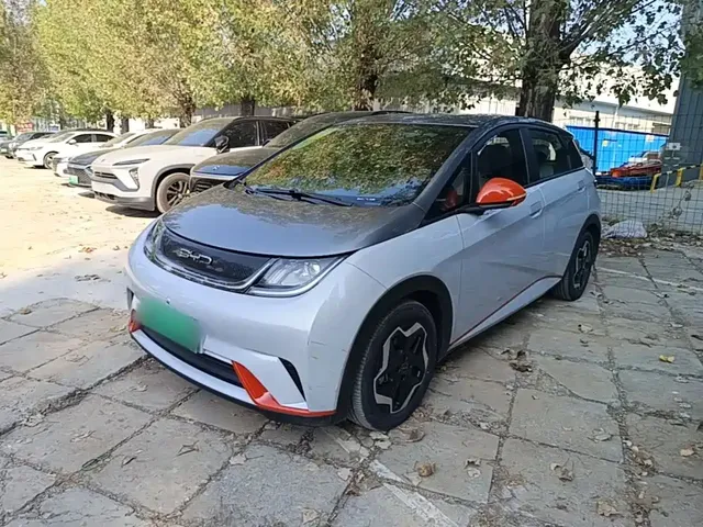 BYD Dolphin 2021 405km Freedom Edition