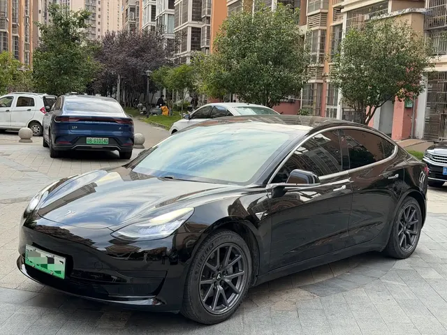 Tesla Model 3 2020 Standard Range Rear-Wheel Drive Upgrade